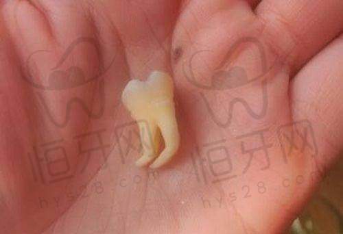 抚顺嘉年华口腔:家庭化牙医,服务有温度