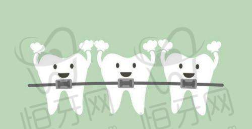 选择建议与考察要点