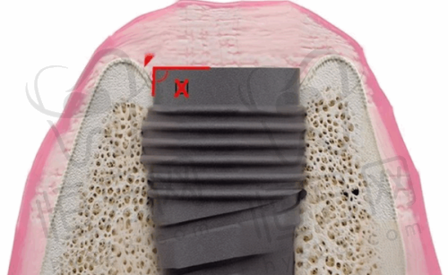 各医院详细介绍